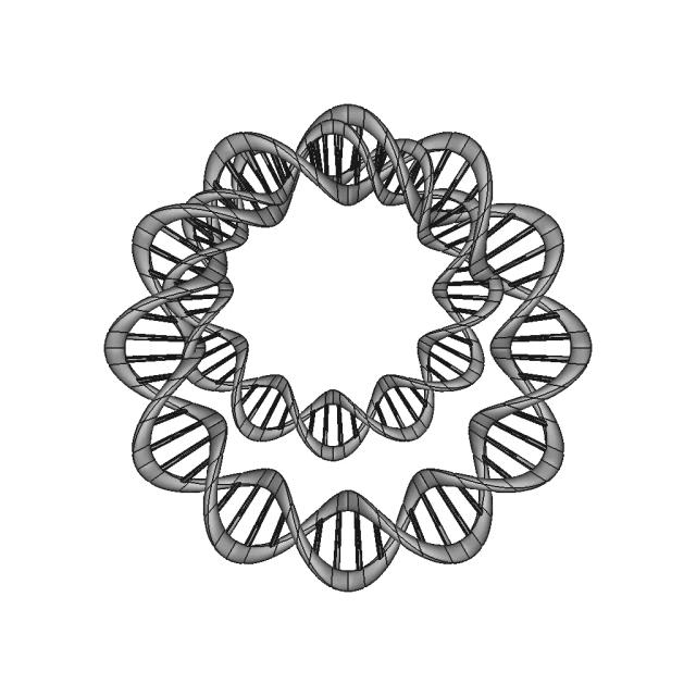 Dna Ring - Standard Mechanical Component