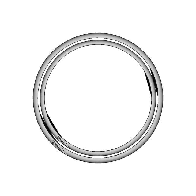 Ring With Wolf Inscription - Downloadable CAD Representation