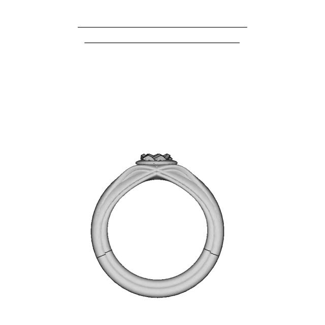 Fiancée Ring | 3D Engineering Design File