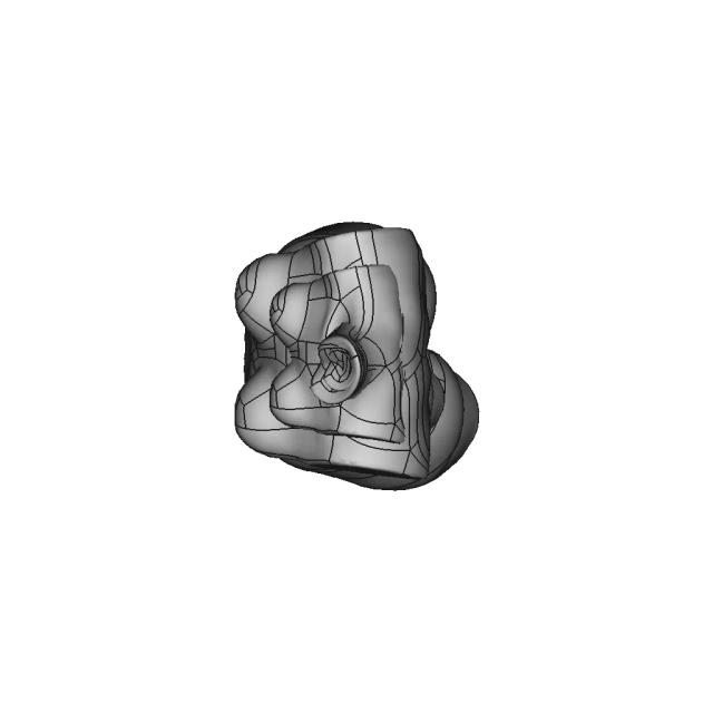 Molly - Standard Mechanical Component