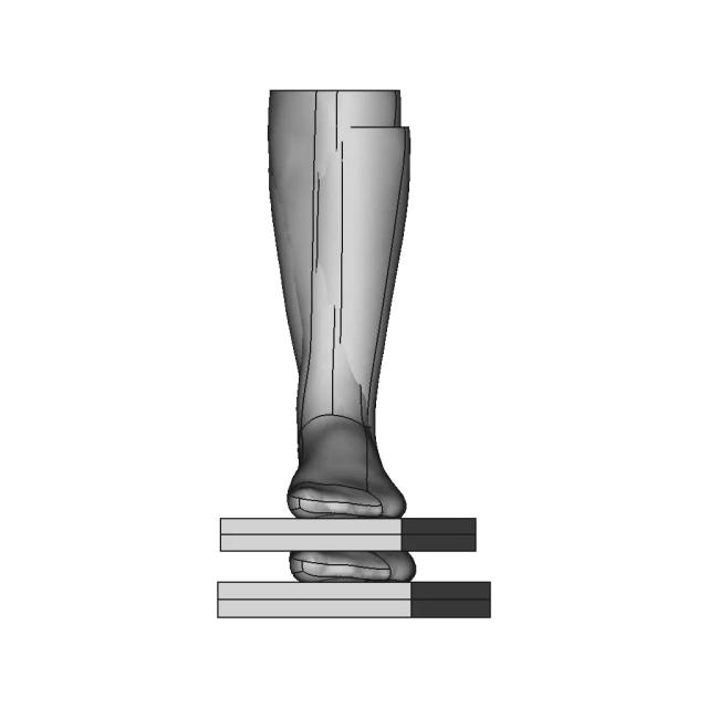 Foot Cad Model - Downloadable CAD Representation