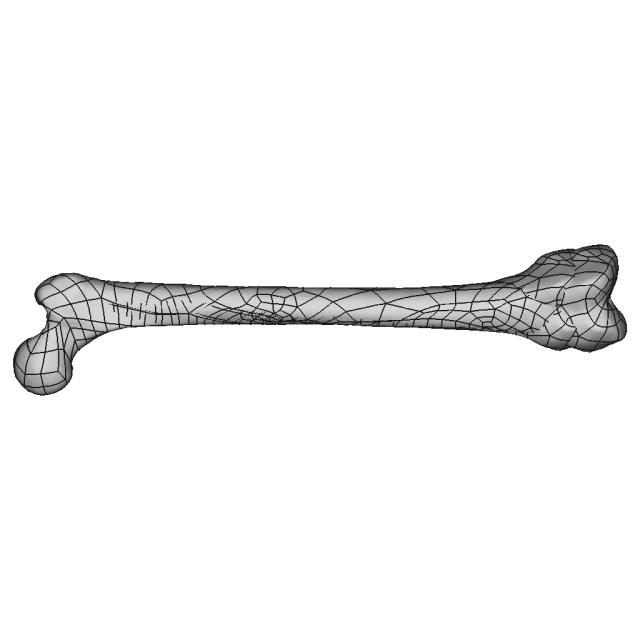 Femur Bone - Downloadable CAD Representation