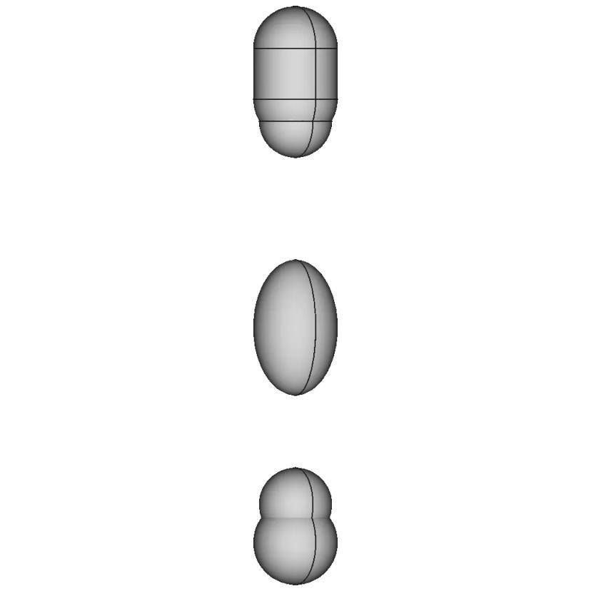 Softgel Capsules | 3D Engineering Design File