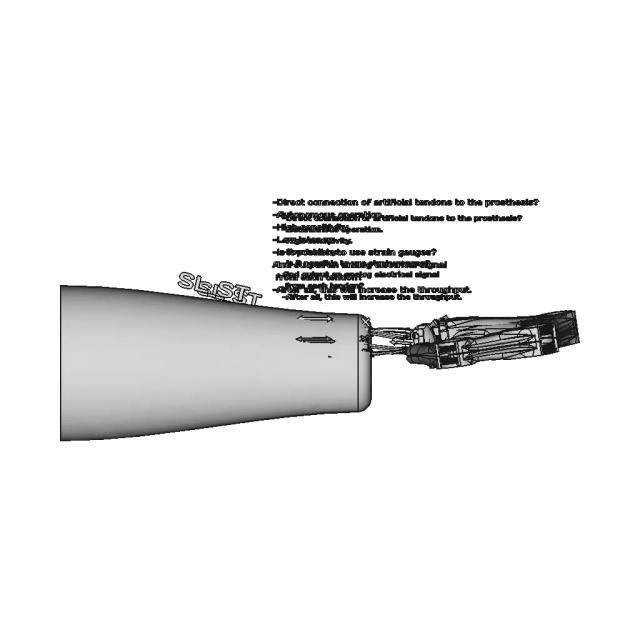 Sl_St Muscule-Tendon-Prosthesis-00 | High-Quality CAD Model