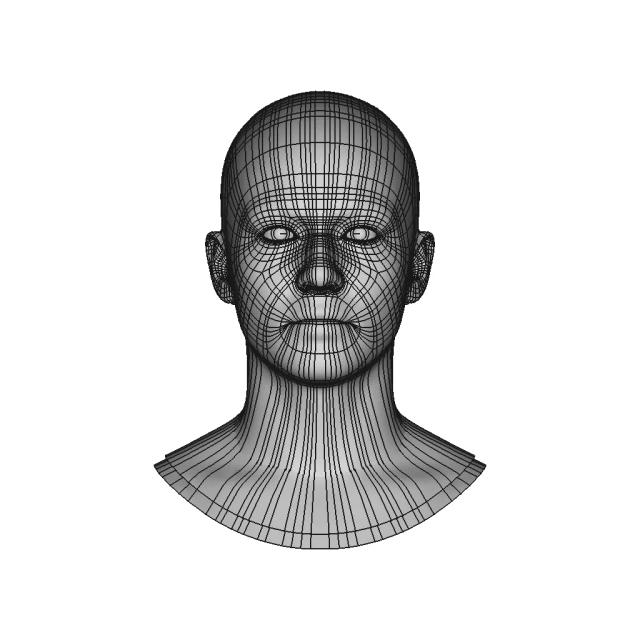 Generic Human Head | 3D Engineering Design File
