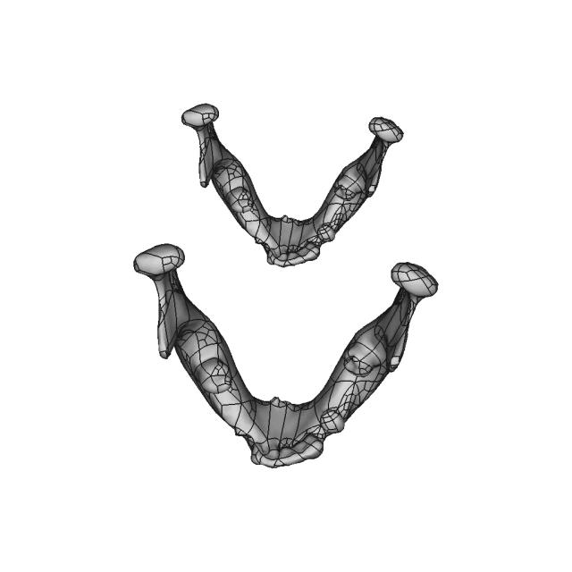 Skull - Downloadable CAD Representation