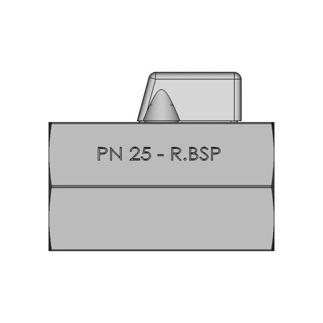 Pn-25 - Dn.1 - Mini Ball Valve - F.F - R.Bsp - Inox 304 | 3D Engineering Design File
