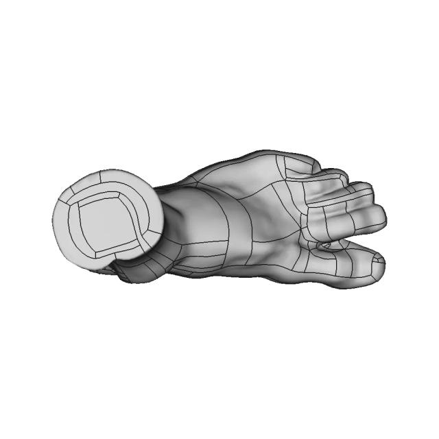 Scanned Foot - Downloadable CAD Representation