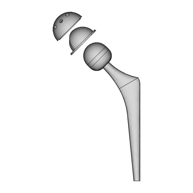 Hip Prosthesis - Downloadable CAD Representation