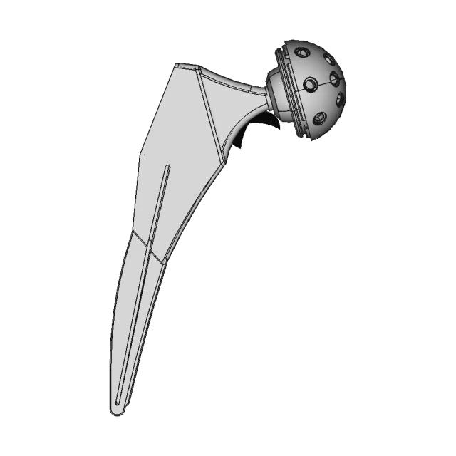 Human Hip Prosthesis – Full-Scale, High-Fidelity 3D Model | 3D Engineering Design File