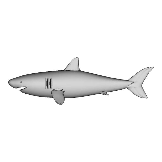 Great White Shark Model | 3D Engineering Design File