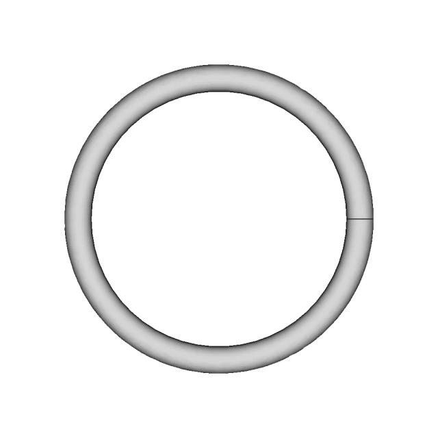 Trapped Ring Puzzle | High-Quality CAD Model