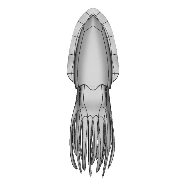 Cuttlefish - Downloadable CAD Representation