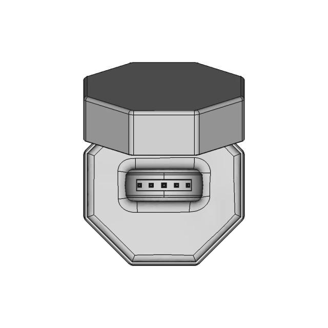 Lovely Ring 1 | Professional CAD Design