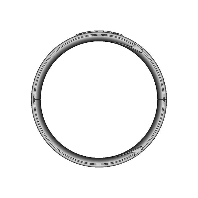 Ring New 1 | Professional CAD Design