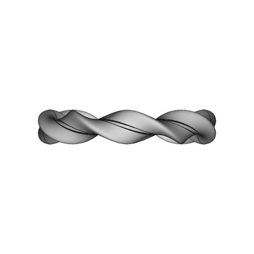 Carus Duplo 8 1 | Professional CAD Design