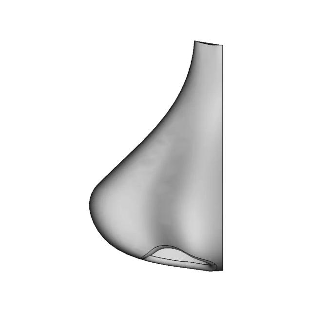 Disinfectant Mat Dezenfektan Paspas 2 | Professional CAD Design