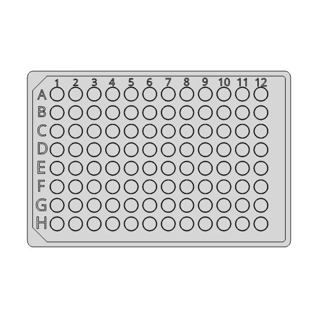 Intimate Rider 1 | Professional CAD Design