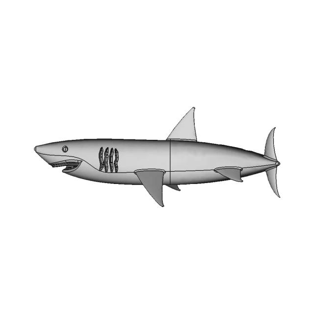 3D Model of Great White Shark for Engineering and Design