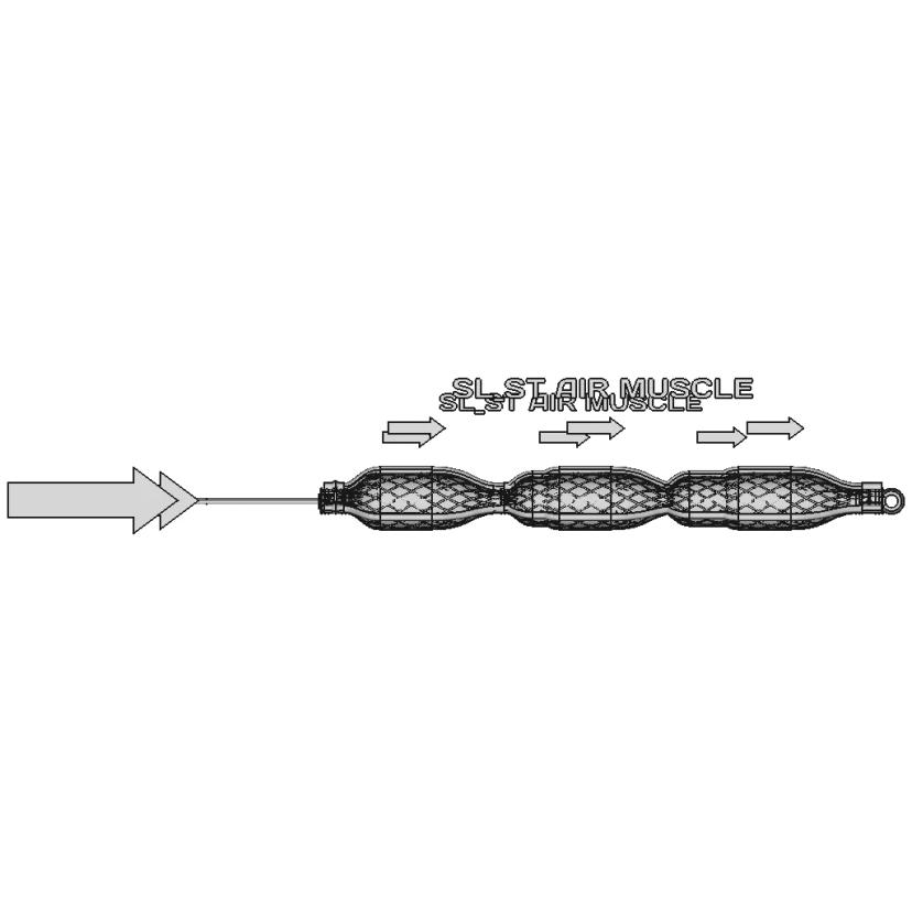 Sl_St Air Muscule Demo In Progress - Standard Mechanical Component